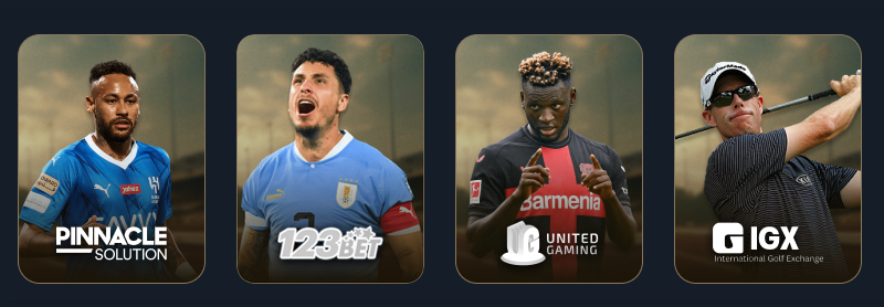 WINDREAMPH Sports Betting